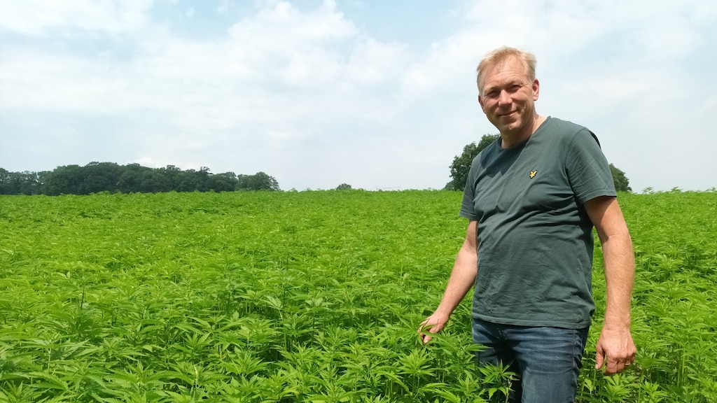Arjan Prinsen voor een akker met hennep.