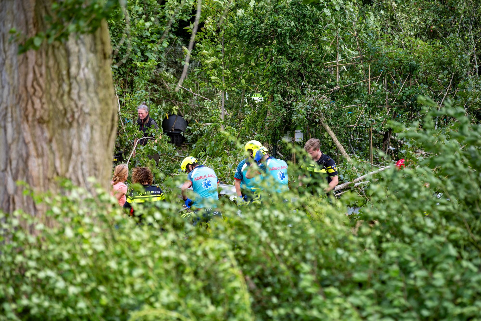 Vrouw zwaargewond door afgewaaide boomtak in Olst, code geel afgelopen