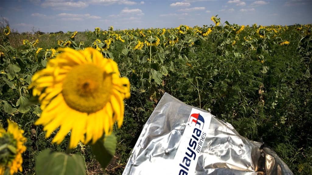 Een deel van het toestel kwam neer in dit zonnebloemenveld in Rozsypne, Oekraïne.