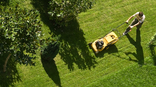 6 veel gemaakte fouten bij het grasmaaien die je beter kunt voorkomen