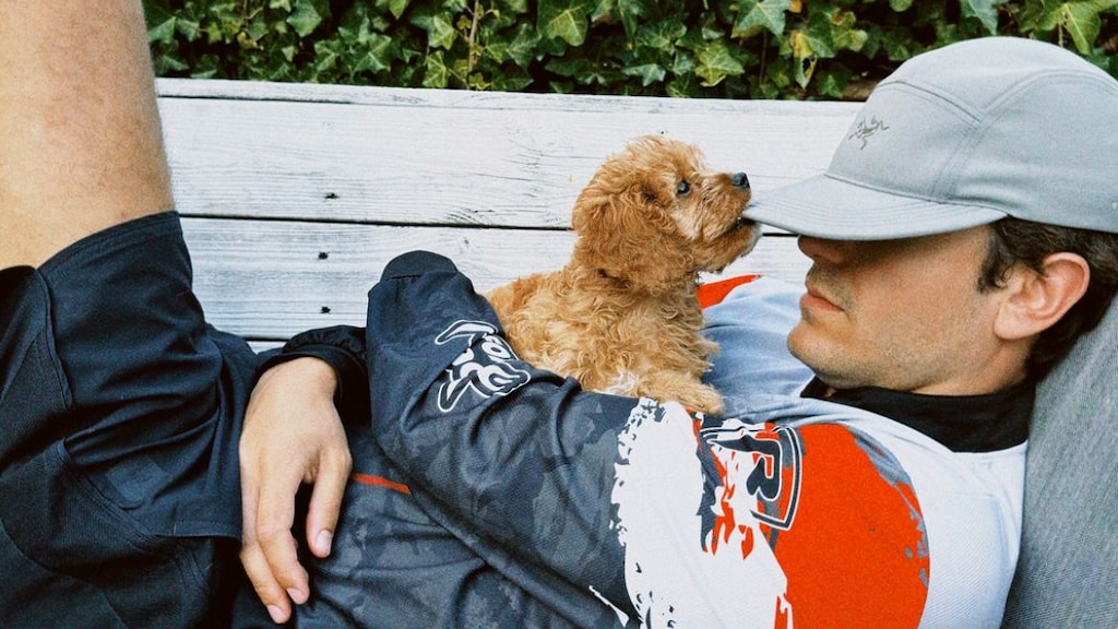 Hondje van Floris Göbel overleden door vergiftiging
