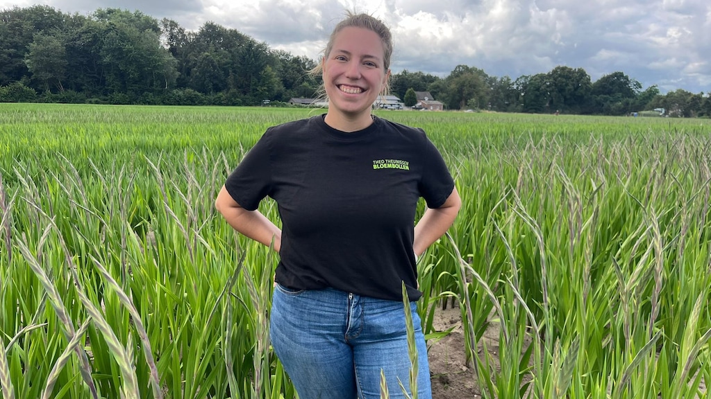 De gladiolen bloeien nog niet