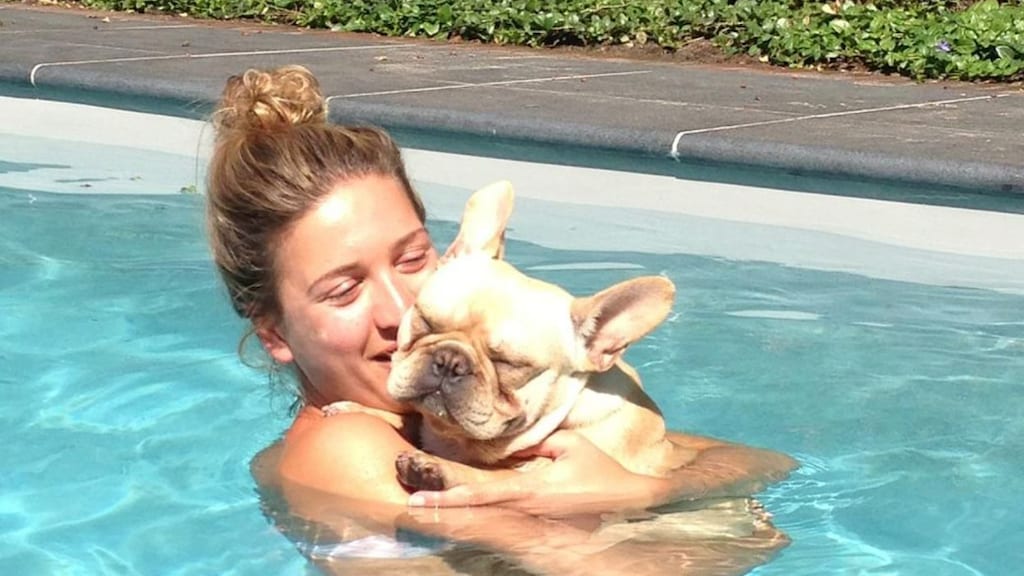 Bo Wilkes en gezin nemen afscheid van hond Ducje: 'Hebben hem in slaap geaaid'