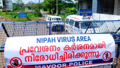 Virus “altamente contagioso” in India, muore ragazzo di 14 anni | Notizie RTL Virus “altamente contagioso” in India, muore ragazzo di 14 anni | Notizie RTL