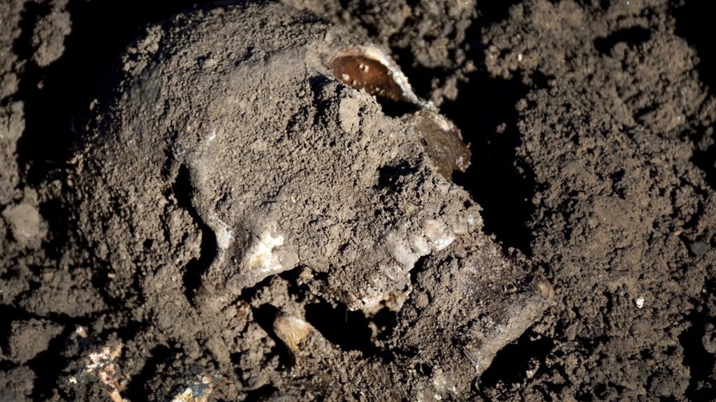 Op deze foto uit 2015 is een menselijke schedel te zien in een massagraf van jezidi-slachtoffers van IS in de regio Sinjar.