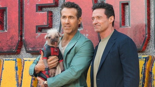 Hoe Peggy het van lelijkste hond tot filmster in Deadpool & Wolverine schopte