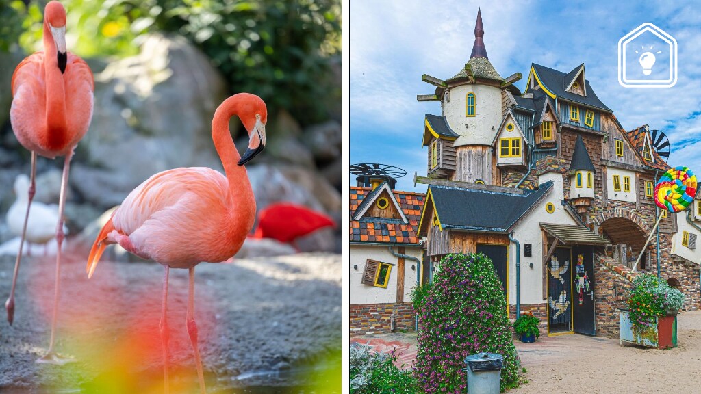 5 originele en betaalbare zomeruitjes in Utrecht en Flevoland