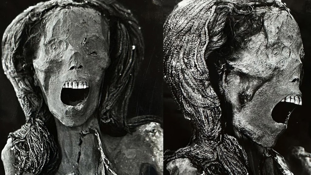 Scan van het gezicht van de schreeuwende mummie.