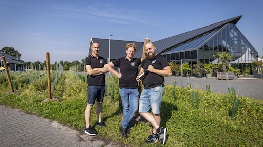 Nederlandse wijn in opmars, maar klimaatverandering niet altijd positief