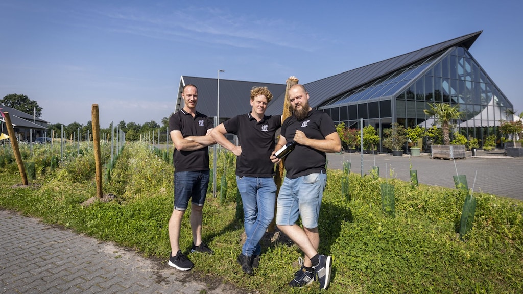 Nederlandse wijn in opmars, maar klimaatverandering niet altijd positief