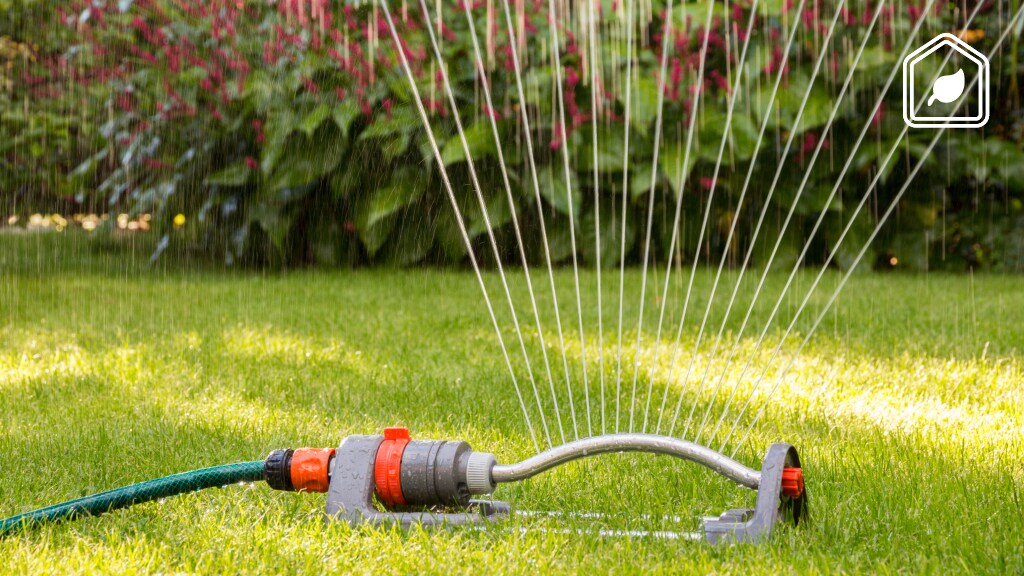 Tuin sproeien: zoveel kost één sproeibeurt (en zo vaak 'moet' het)