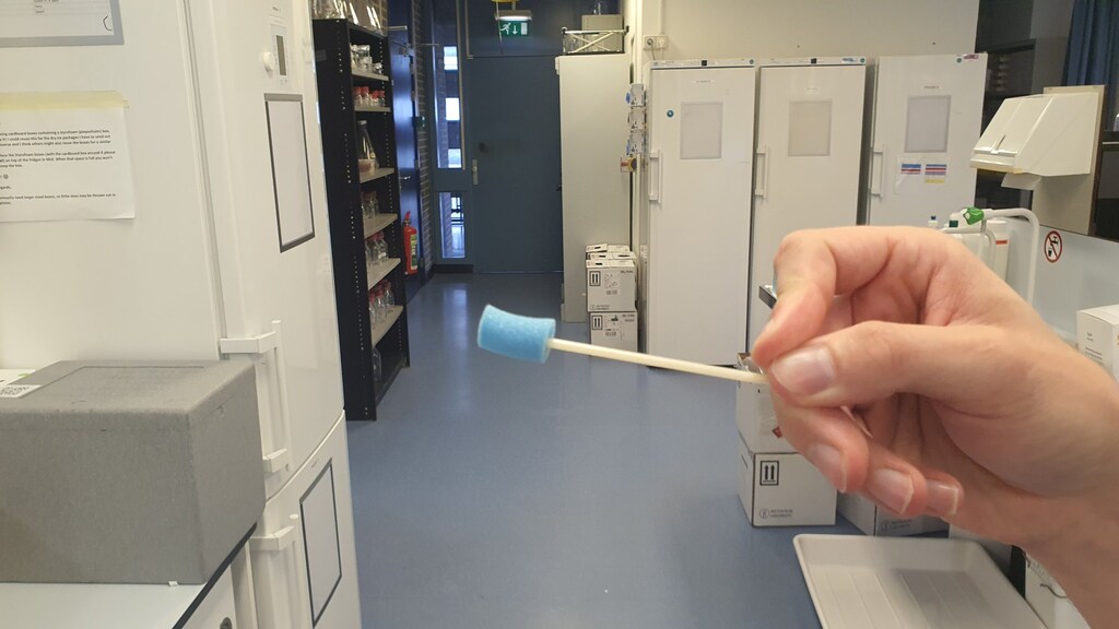 Un tampone di saliva