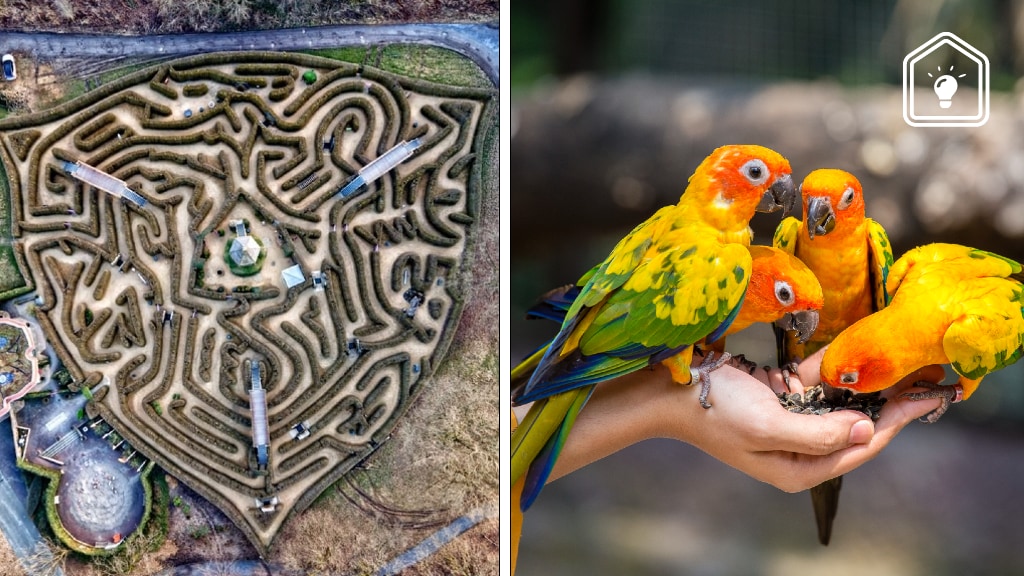 5 originele en betaalbare zomeruitjes in Noord-Brabant en Limburg