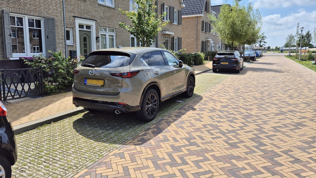 Een groene parkeerplek.