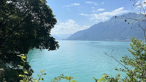 Zwitserse wateren vol munitie: 50.000 euro voor idee om het eruit te halen