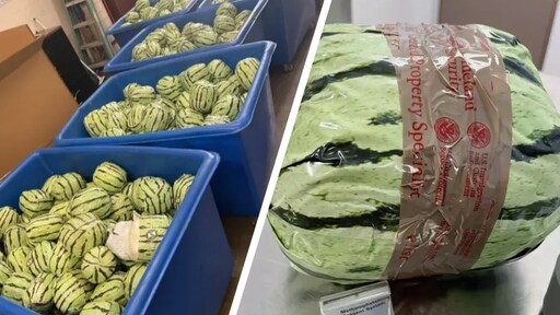 Amerikaans douane vindt 2 ton aan meth in vorm van watermeloenen