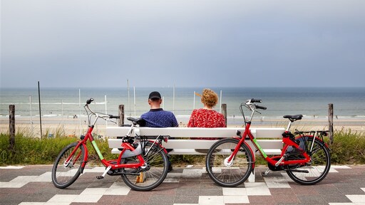 Buien langs de kust, zon vooral in het binnenland