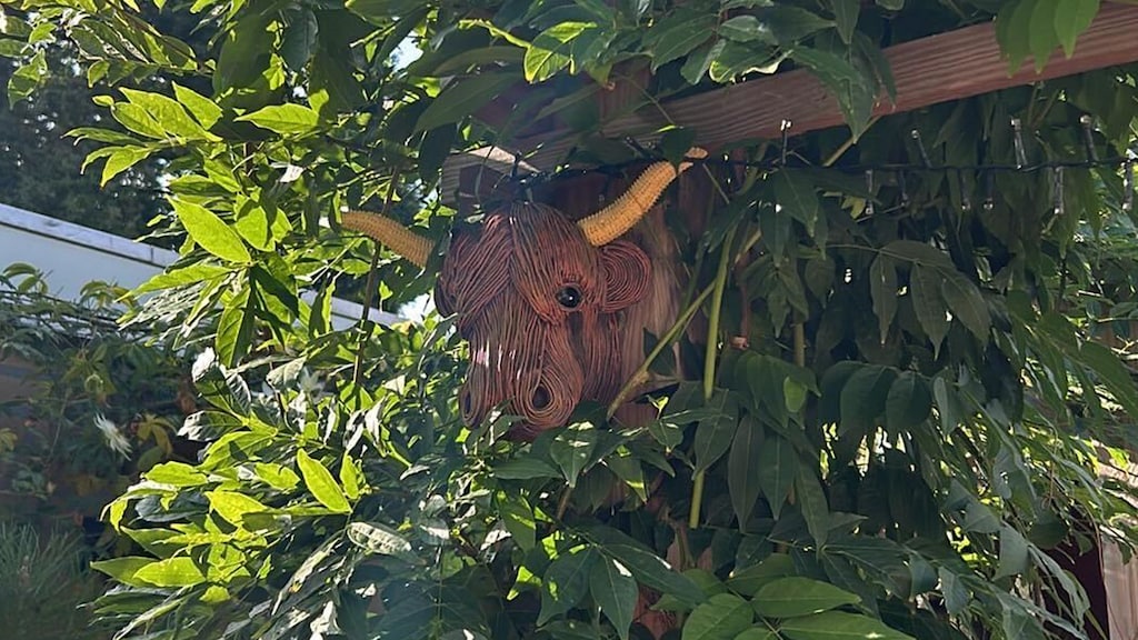 De plastic stierenkop die Isère L'Hoést via een dropshipper kreeg