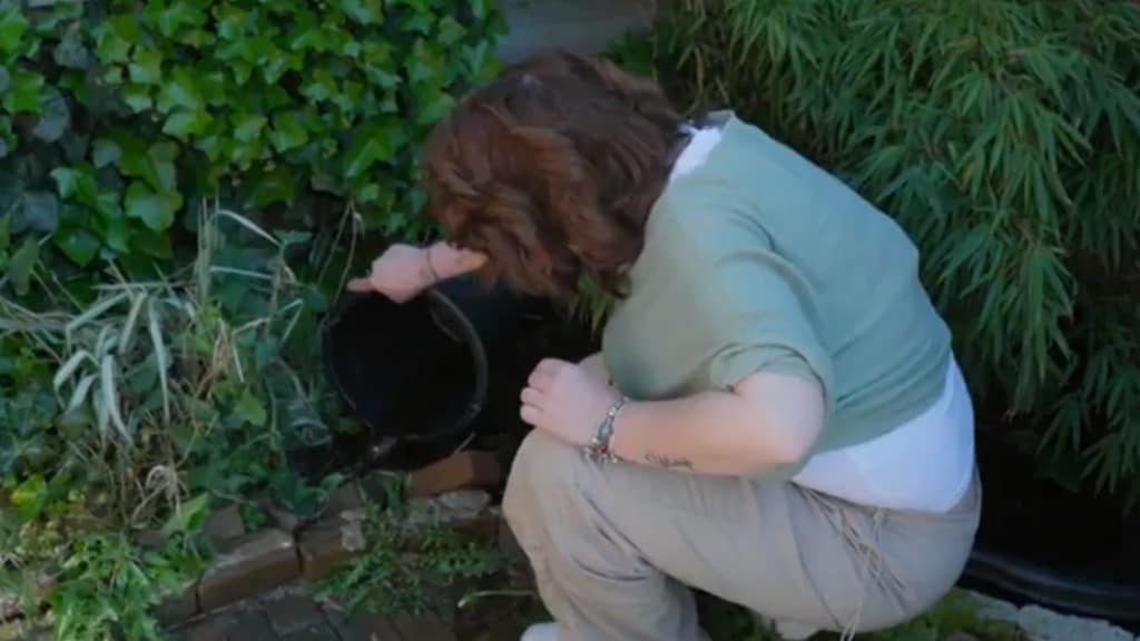 Kijkers boos over in sloot gedumpte goudvissen in Een Huis Vol