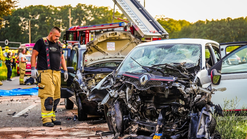 Spookrijder zorgt voor ravage en twee zwaargewonden bij Gelderse Dieren