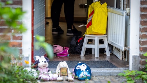 Pleegouders 10-jarig meisje uit Vlaardingen voor de rechter