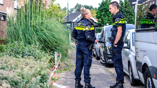 Vrouw bekent doden 9-jarige zoon, 12 jaar cel en tbs geëist