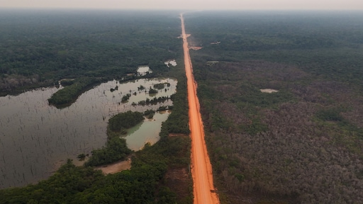 Honderden kilometers asfalt dwars door de Amazone: omstreden snelweg komt er alsnog