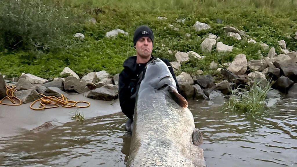 "Het is ongelooflijk hoe sterk deze vis is."