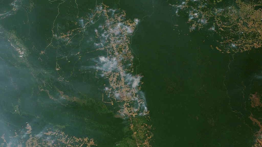 Langs de weg (de streep) zie je dat meer en meer groen verdwijnt