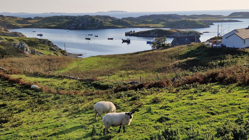 Inishbofin, het prachtige eiland waar stress niet lijkt te bestaan.
