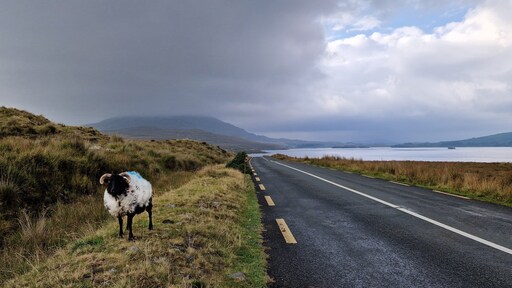 Weer of geen weer, de Ierse westkust blijft betoverend mooi