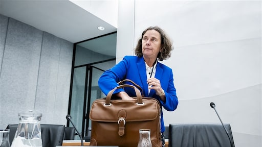 Dit staat in de strenge asielwetten van PVV-minister Faber