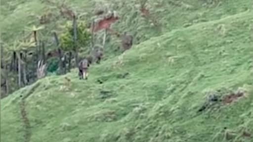 Beeld duikt op van vader en ontvoerde kinderen in wildernis Nieuw-Zeeland