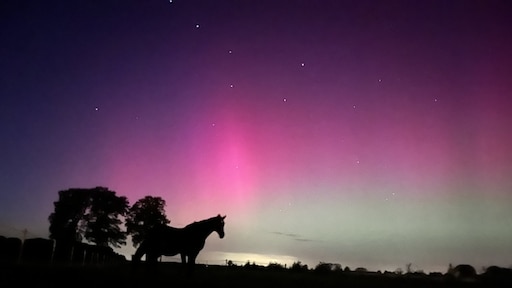 Weer was het noorderlicht goed te zien: dit waren jullie beste foto's