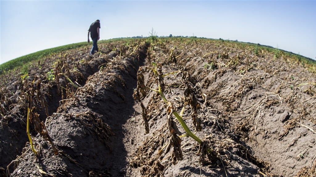Voedselproductie wereldwijd in gevaar door waterschaarste: 'Nieuwe koers nodig'