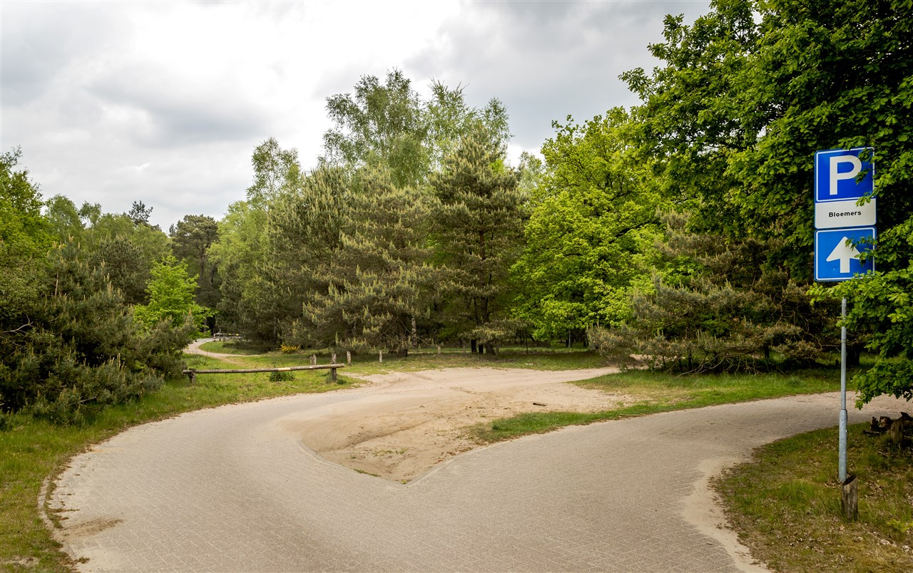 Frank S., veroordeeld voor geruchtmakende Posbankmoord, overleden