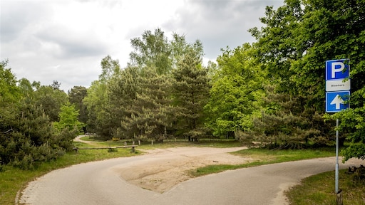 Frank S., veroordeeld voor geruchtmakende Posbankmoord, overleden
