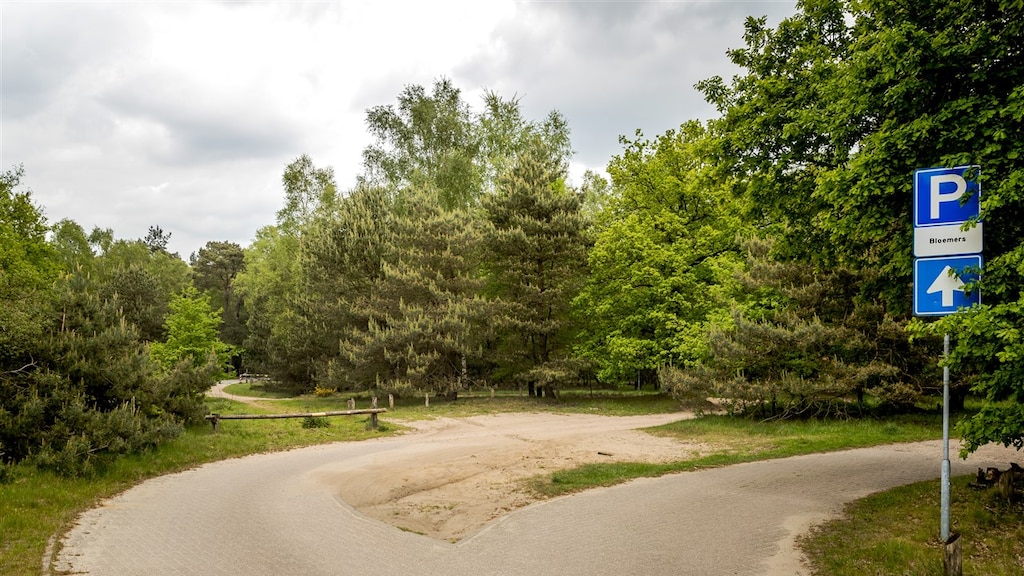 Frank S., veroordeeld voor geruchtmakende Posbankmoord, overleden