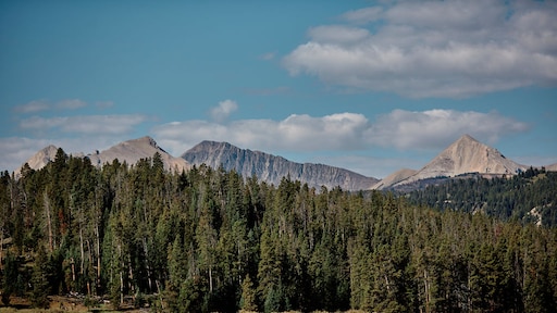 Politie VS twijfelt aan 'berenaanval' op afgelegen camping: 'Lijkt op moord'