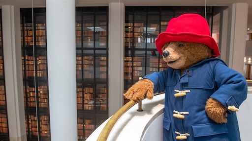 Beertje Paddington krijgt na 66 jaar officieel Brits paspoort