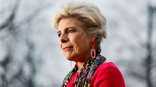 Wel meldingen, geen officiële klachten over prinses Laurentien bij ministerie