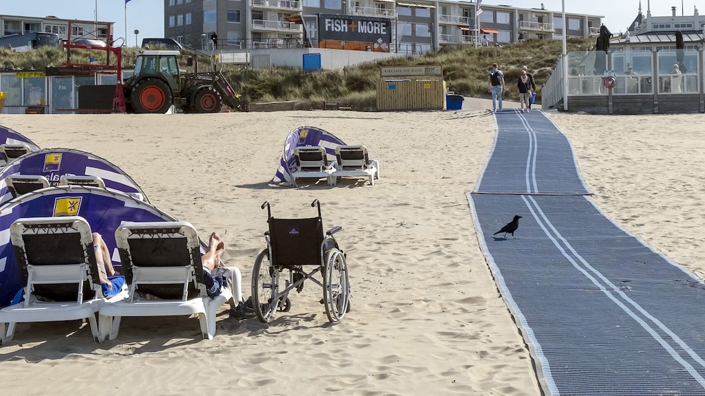Een blauwe loper naar het strand