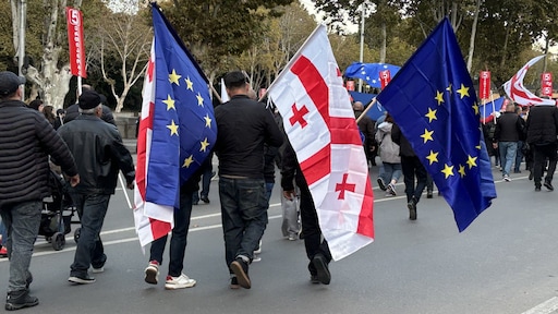 Toetredingsproces Georgië tot EU 'in feite gestopt' om ondemocratische koers