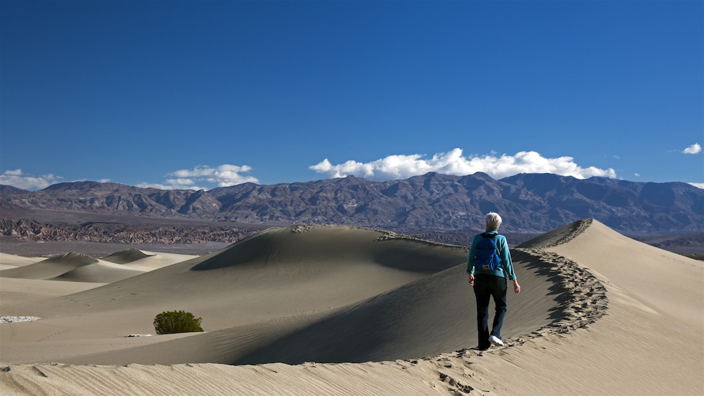 Onderzoek: 2024 warmste jaar ooit, meer dan 1,5 graad opwarming
