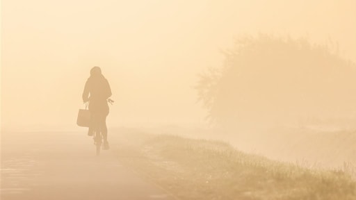 Herfst blijft maar mistig, droog en windstil: hoe komt dat?