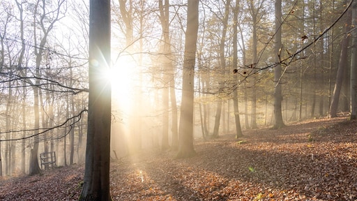 Kans op wind en regen neemt af, rustig herfstweer op komst
