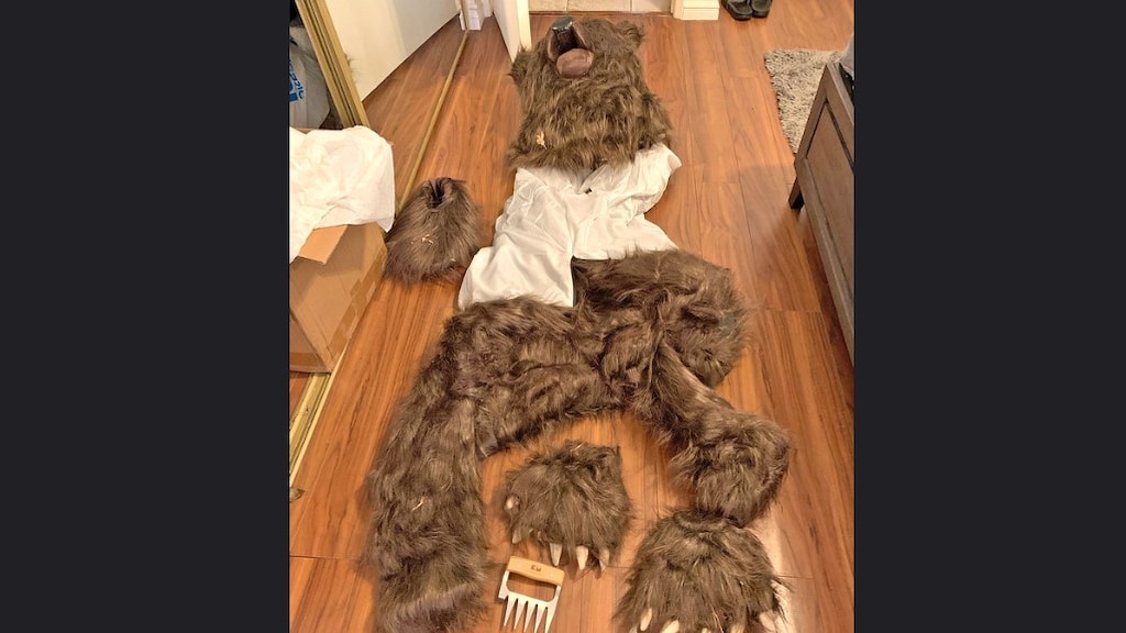 Opmerkelijk gevalletje verzekeringsfraude: dure auto's vernield door man in berenpak