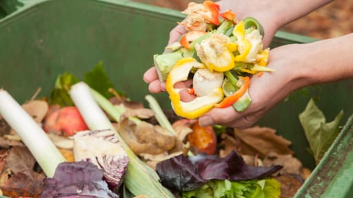 7 dingen die niét in de GFT-container mogen