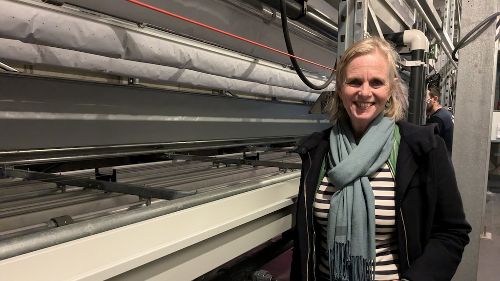 Eind november start de kweek van kiemgroenten.