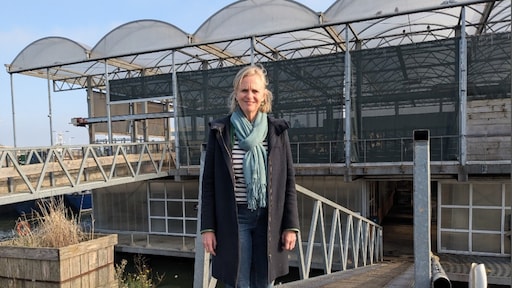 Drijvende boerderij in Rotterdam bestaat 5 jaar: koeien, kaas en nu ook kiemgroente